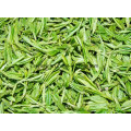 Catéchines No CAS 7295-85-4 Extrait de thé vert